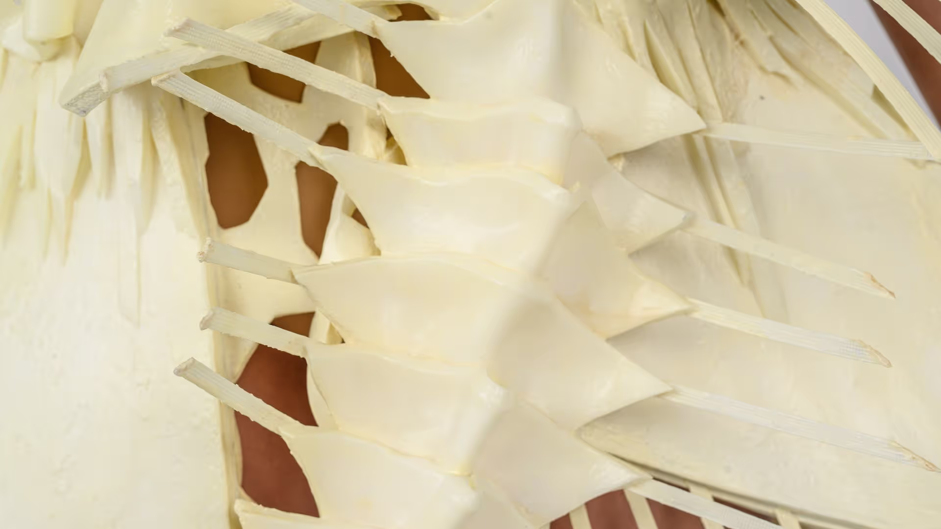 Rusalka, Nikola Carouso, London College of Fashion, United Kingdom